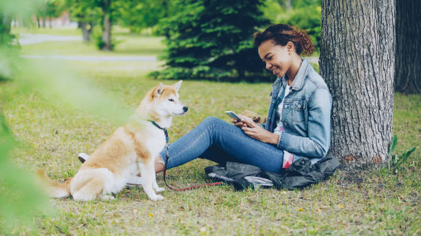 istock Side view of pretty African American girl using smartphone relaxing in park under tree while her cute shiba inu dog is sitting near her owner and enjoying nature. 1436940147