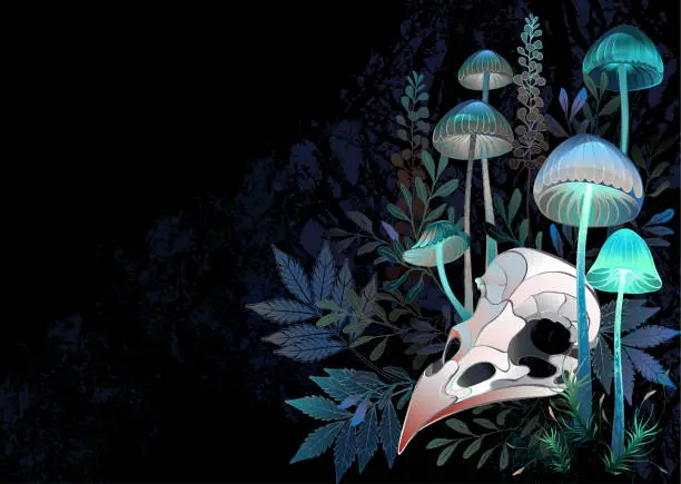 Vector illustration of Bird skull with mushrooms