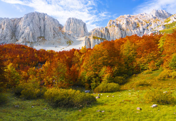 istock Monte Velino (Italy) - Autumn foliage 1436944076