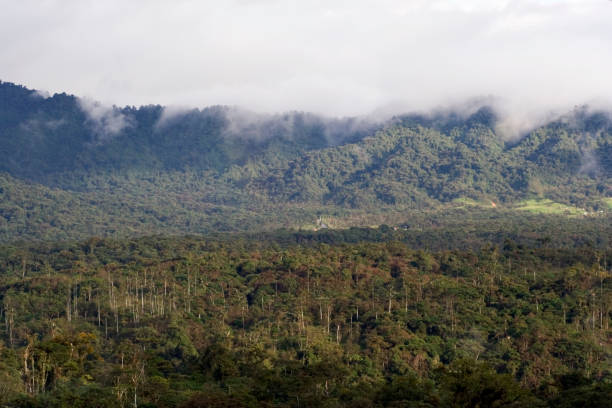 istock San Isidro West slope Andes Ecuador 1436944674
