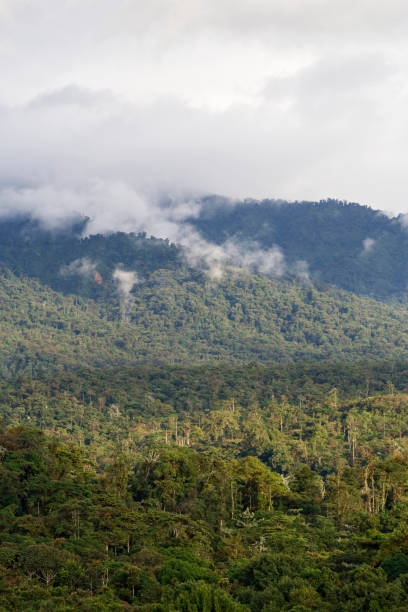 istock San Isidro West slope Andes Ecuador 1436944720