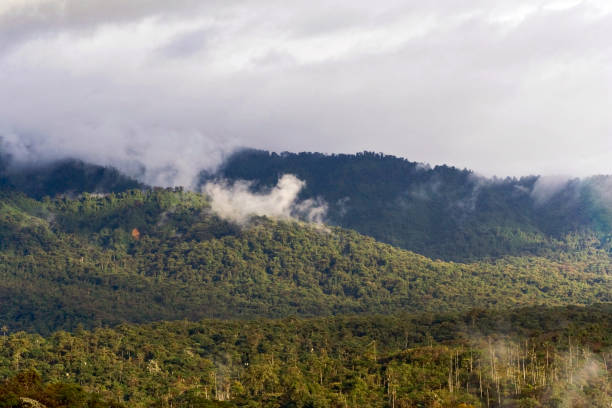 istock San Isidro West slope Andes Ecuador 1436944721