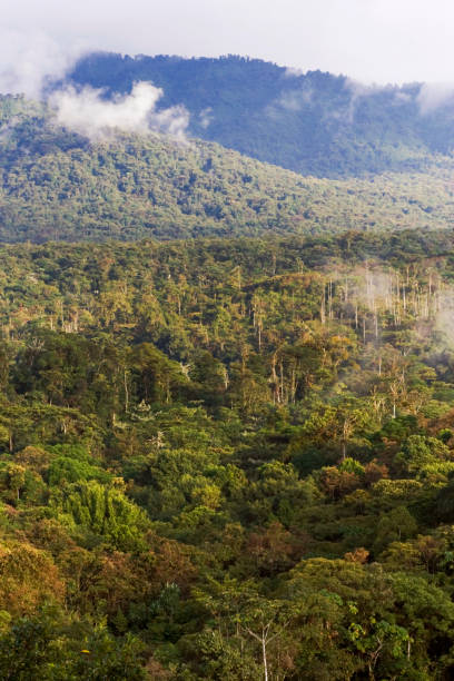 istock San Isidro West slope Andes Ecuador 1436944742