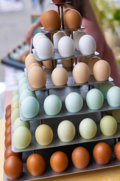 Eggs with Different colors of Shells placed on Top of a Display Stand.