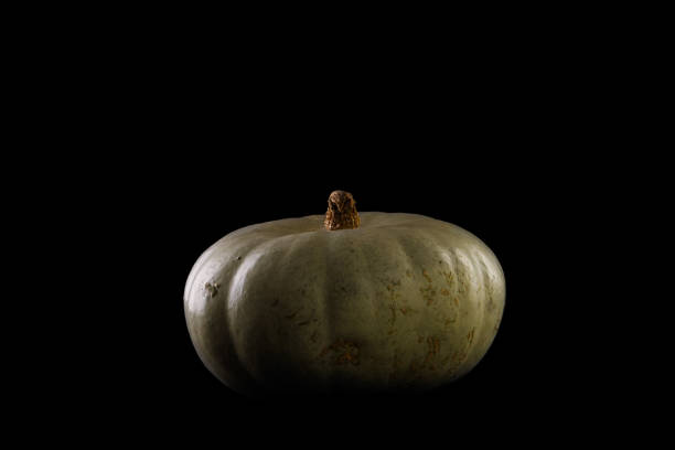 istock Green pumpkin squash on black background 1436948432