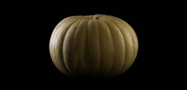istock A single yellow pumpkin squash on a black background 1436948453