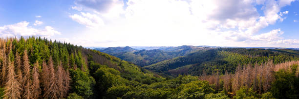 istock sauerland forest hills panorama in germany 1436949754
