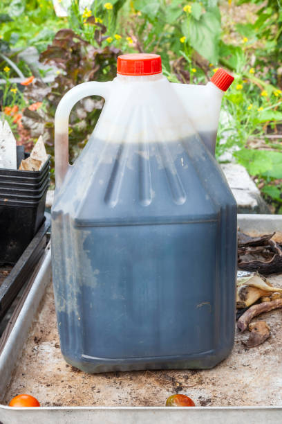Homemade fertiliser plant feed Homemade fertiliser with a nitrogen rich plant feed in a plastic container bottle made by a gardener as a nutrient to grow tomatoes and flowers in a vegetable garden, stock photo image plant fertilizer stock pictures, royalty-free photos & images