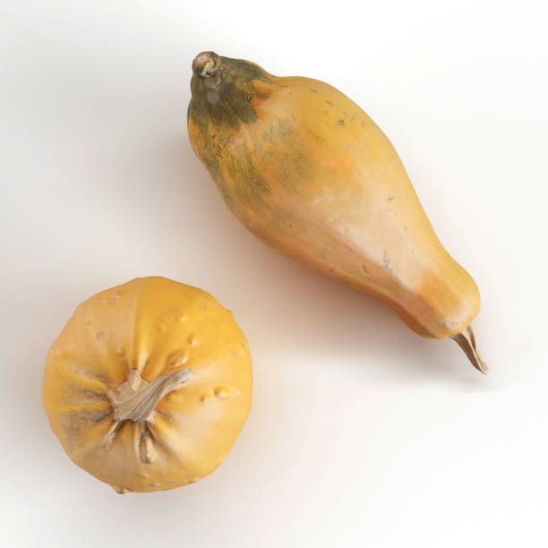 istock 3D illustration of two decorative pumpkins isolated on white background 1436955517