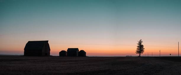 istock Panoramic shot of a barn in Saskatchewan at sunset 1436956875