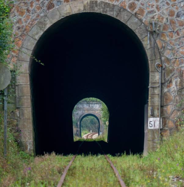 istock Dark tunnel in the forest 1436957111