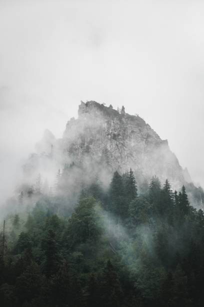 istock Mesmerizing vertical shot of a forested mountain covered in mist 1436957136