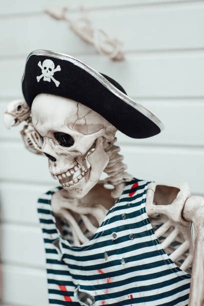 istock Halloween skeleton character in pirate costume with cocked hat black 1436957147