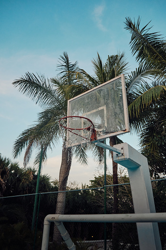 A vertical shot of a basketball rack in a court surrounded by tree