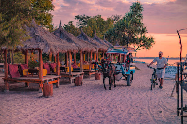 Gili Air Lombok Indonesia Island living Gili Air, Indonesia – May 10, 2019: Gili Air Lombok Indonesia Island living 
Horse and cart - beautiful blue waters and pink sunsets lombok indonesia stock pictures, royalty-free photos & images