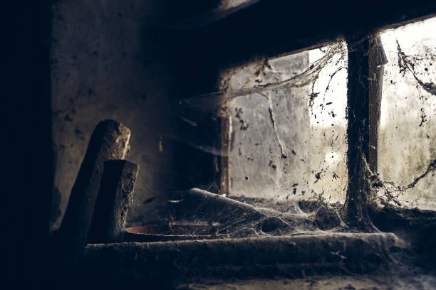 istock Old window with wood pieces and many spider webs 1436961938