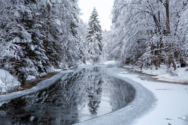 istock Trees covered in snow and a frozen water stream in a forest 1436962016