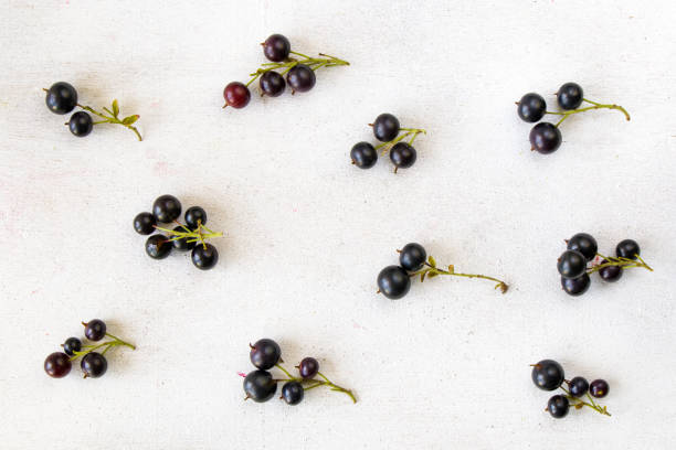 istock Overhead shot of currants separated and placed on a white surface 1436962038