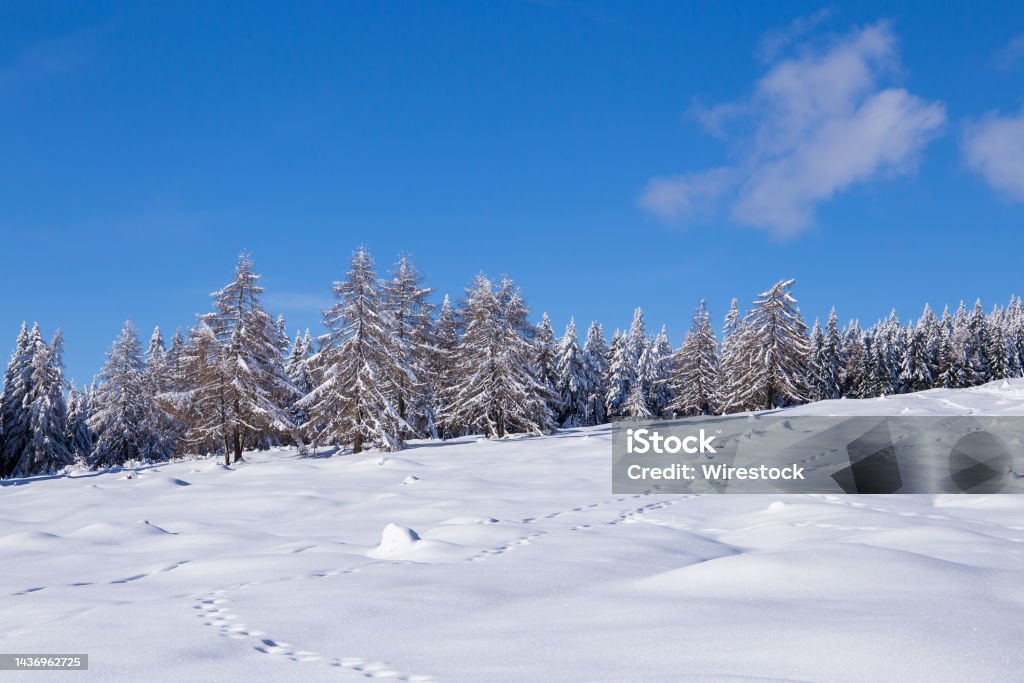 Phong Cảnh Mùa Đông Tuyệt Đẹp Cho Thấy Phong Cảnh Núi Non Ở Áo Hình ảnh Sẵn  có - Tải xuống Hình ảnh Ngay bây giờ - iStock