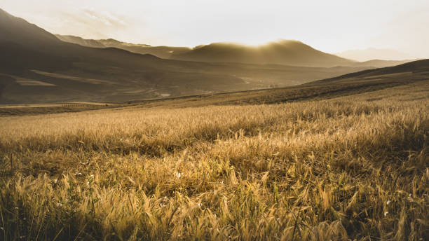 istock Beautiful landscape with fields and mountains at scenic sunset 1436963019