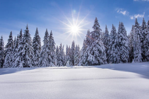 soleggiata giornata invernale in montagna - sunny day mountain mountain range winter foto e immagini stock