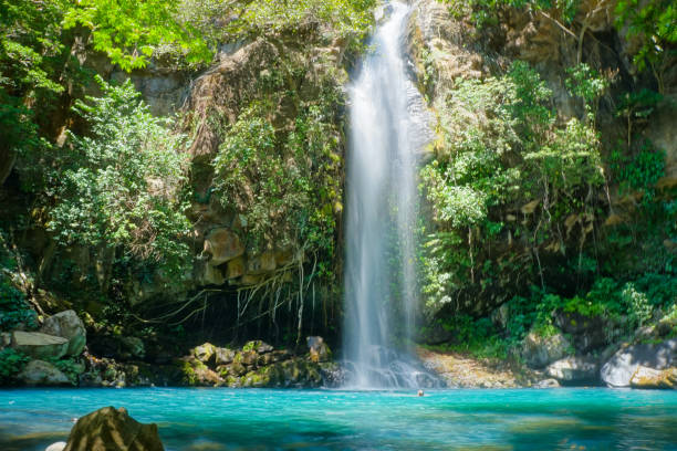 vue panoramique en contre-plongée d’une cascade du parc national du volcan rincon de la vieja au costa rica - low angle view photos et images de collection