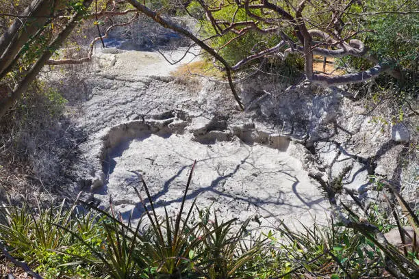 A high angle shot of dryland from Rincon de la Vieja Volcano National Park in Costa Rica with trees around it