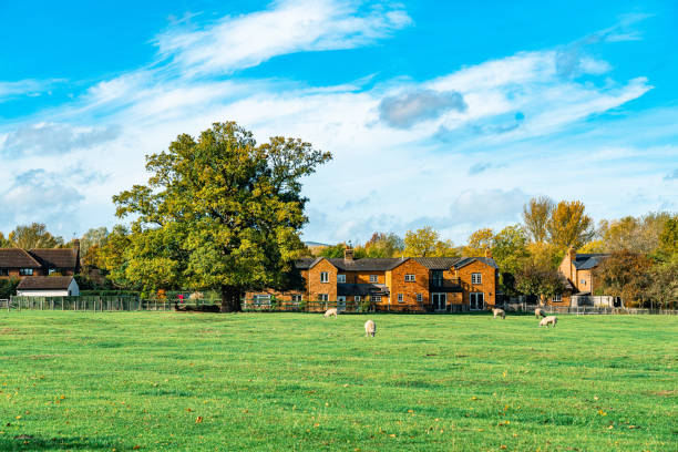 istock Summer Landscape in park 1436967220