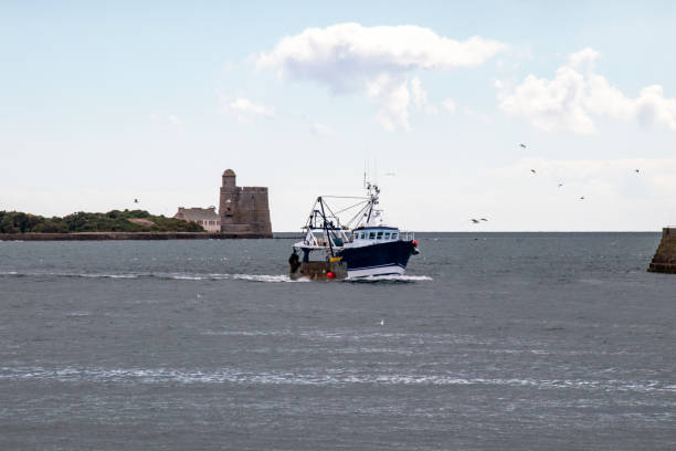 Return from fishing of a trawler returning to the port of Saint-Vaast-la-Hougue