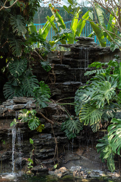 istock landscape in GuangZhou Zoo 1436975309