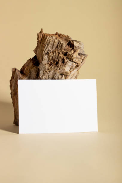 istock Mockup with blank horizontal paper cards with copy space next to log. Hard sunlight and shadows on a beige background. Minimal template for business layout. Top view, flat lay 1436979283