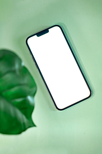 phone with a white screen on a beautiful background with a leaf. minimalism