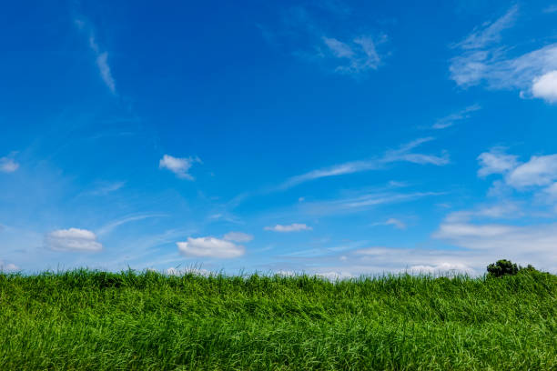 blauer himmel und weiße wolken am ufer des tama-flusses im herbst - riverbank stock-fotos und bilder