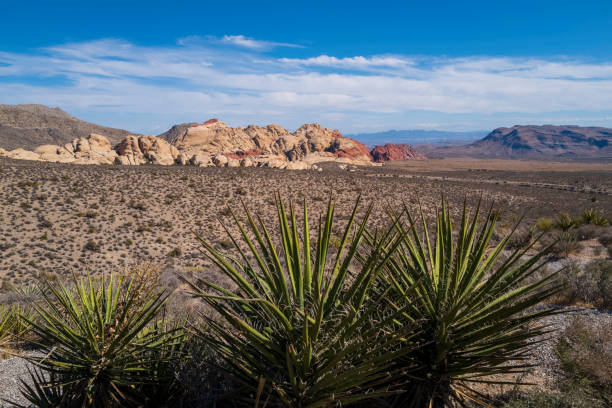 Southwestern high desert arid landscape