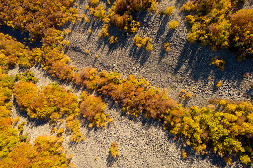 Mountain autumn colors drone view