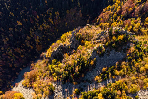 Abstract autumn landscape aerial view