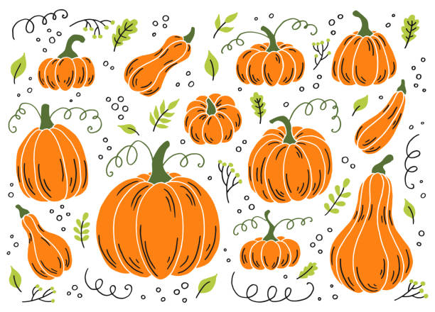 12,700+ Pumpkin Line Drawing Illustrations, Royalty-Free Vector ...