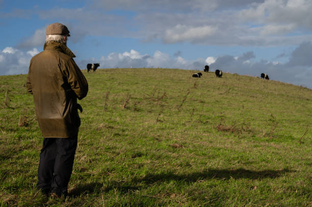 istock Senior man looking at a small group of beef cattle 1436983401