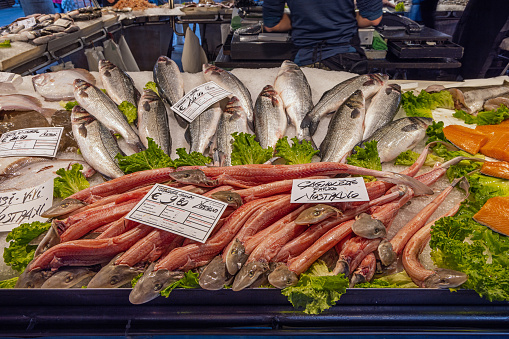 Venice, Italy - October 12th 2022: Partly skinned sharks at a fish vendors shop with other kinds of saltwater fishes at the open air fish market in the center of the old Italian city Venice