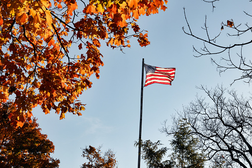 American Flag and Trees in Autumn