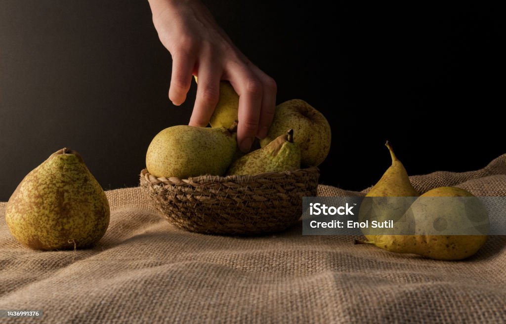 Close-Up of a hand picking  fresh conference pear Still life of a small group of conference pears with selective focus over a dark background with a young hand taking a green pear Abundance Stock Photo
