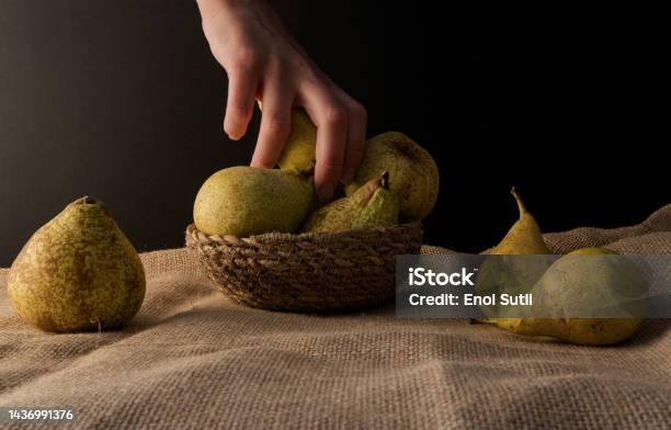 Closeup Of A Hand Picking Fresh Conference Pear Stock Photo - Download Image Now - Abundance, Autumn, Black Background