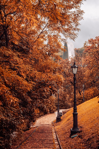 Autumn landscapes in the city, orange trees, October colorful, Kiev, Ukraine