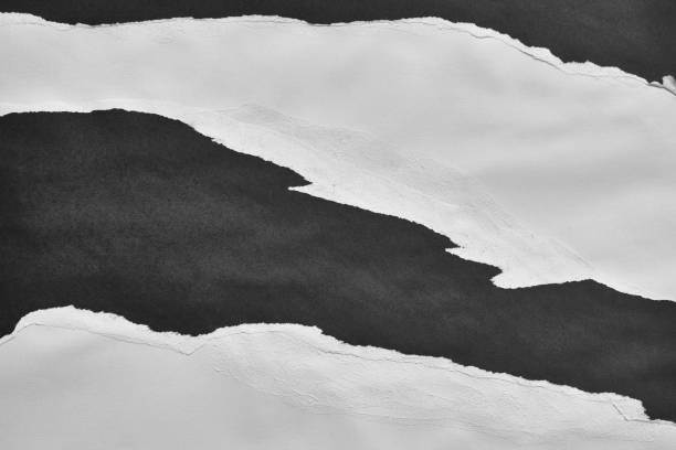 istock Black and White Torn Paper Collage Style, Ripped Paper Effect, Texture Abstract Background, Copy Space for Text. 1436993870