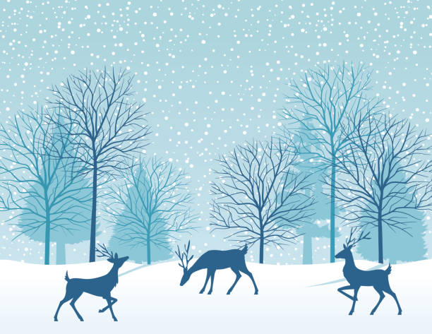 illustrations, cliparts, dessins animés et icônes de snowy_landscape_reindeer_text_rough - christmas winter december deer