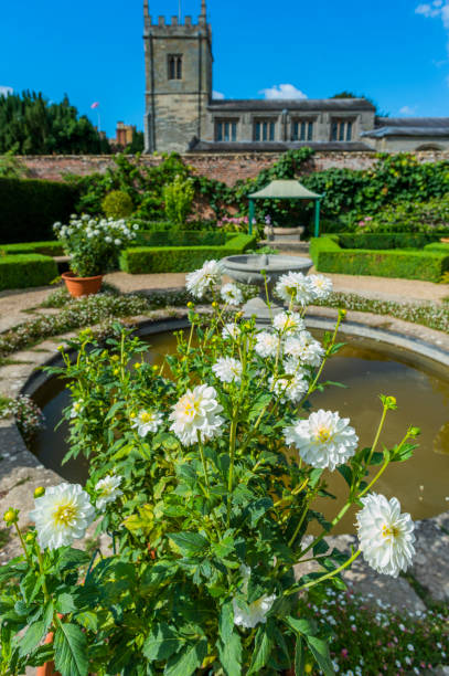 summer flower walled garden colourful botanical horticultural border dahlia summer flower walled garden colourful botanical horticultural border coughton stock pictures, royalty-free photos & images