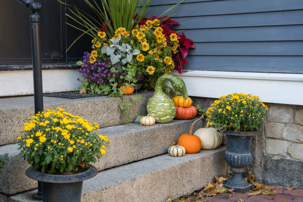 istock Halloween Decorations in Salem Massachusetts 1436999871