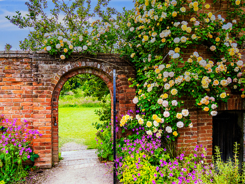 Image of an arch with pink roses in a public park of Valladolid