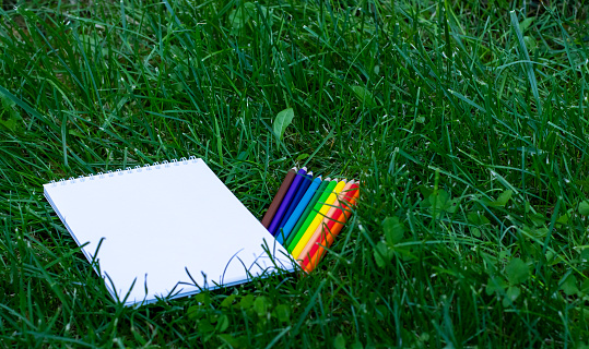 Creative flat-lay of stationery notepad and colored pencils for drawing and sketching lying on lawn