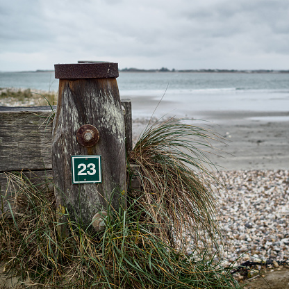 A plaque with the number 23 is nailed to a groyne on the beach. Tussocks of grass sprout from the wood.